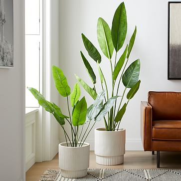 Faux Potted Bird of Paradise Plant | West Elm (US)