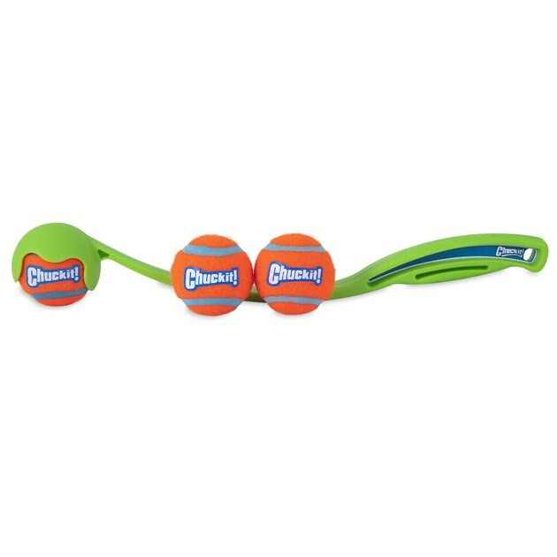CHUCKIT! Sport 14S Launcher Tennis Ball Bundle Dog Toy, Small - Chewy.com | Chewy.com