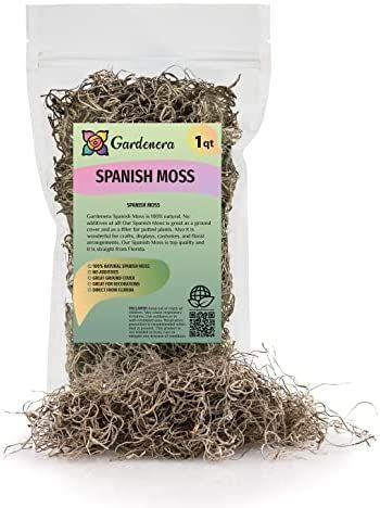 ⭐ Premium Natural Spanish Moss | Natural Preserved - Great Ground Cover - Filler for Potted Pla... | Amazon (US)
