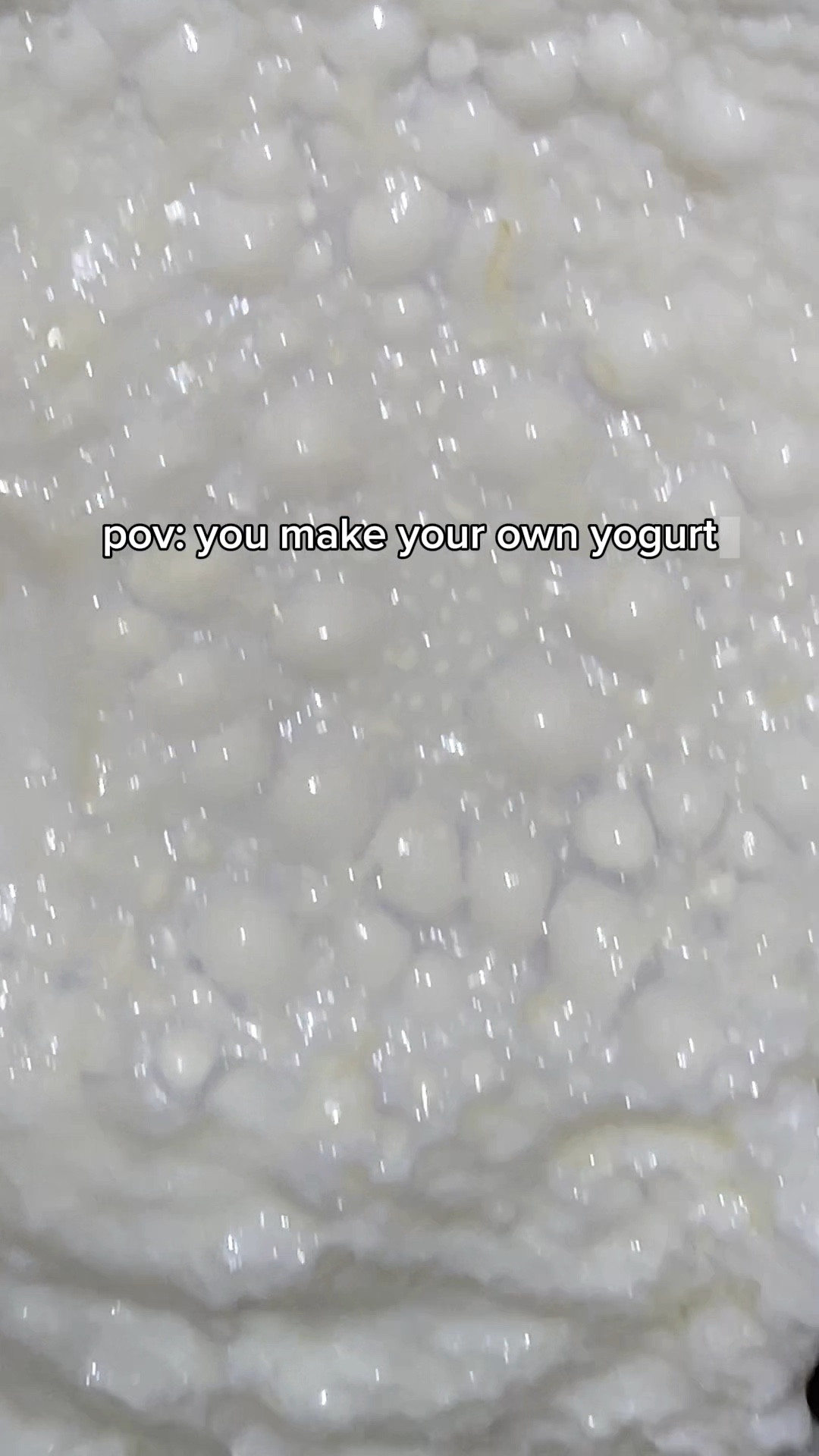 How to make yogurt and greek yogurt at home! 👩🏽‍🍳

Here what you’ll need:
🐄1/2 gallon milk
🥛yogurt
🧀cheesecloth
🥣bowls
🫙collander

Here is a step-by-step on how to make yogurt at home:
Warm milk until steaming hot but not boiling
let it cool until you can hold your finger in it for 10 seconds without burning 
strain thr milk 
mix a little milk with existing yogurt (either what’s left or a get single serve)
mix it all together
cover with lid (and towel) and place in oven overnight (don’t turn oven on)
next day you can keep the yogurt as is or go to next steps for greek yogurt
for greek yogurt, place overnight yogurt into cheesecloth and let strain in the fridge for several hours or until desired consistency is reached
if you left it too long just add some of the yogurt water back in
don’t throw out yogurt water- use it for baking!
now you can enjoy!

Drop questions below and let me know if you want me to show you how to make greek vanilla yogurt!

#asmrfood #asmrcommunity #asmrcrunchy #asmrcooking #recipe #asmrrelax #asmrsounds #asmreating #asmrsounds #asmrvideo #asmr #asmrsound #asmrvids #asmrtingles #asmrcrunch #asmreatingsounds

#LTKFamily #LTKHome #LTKGiftGuide