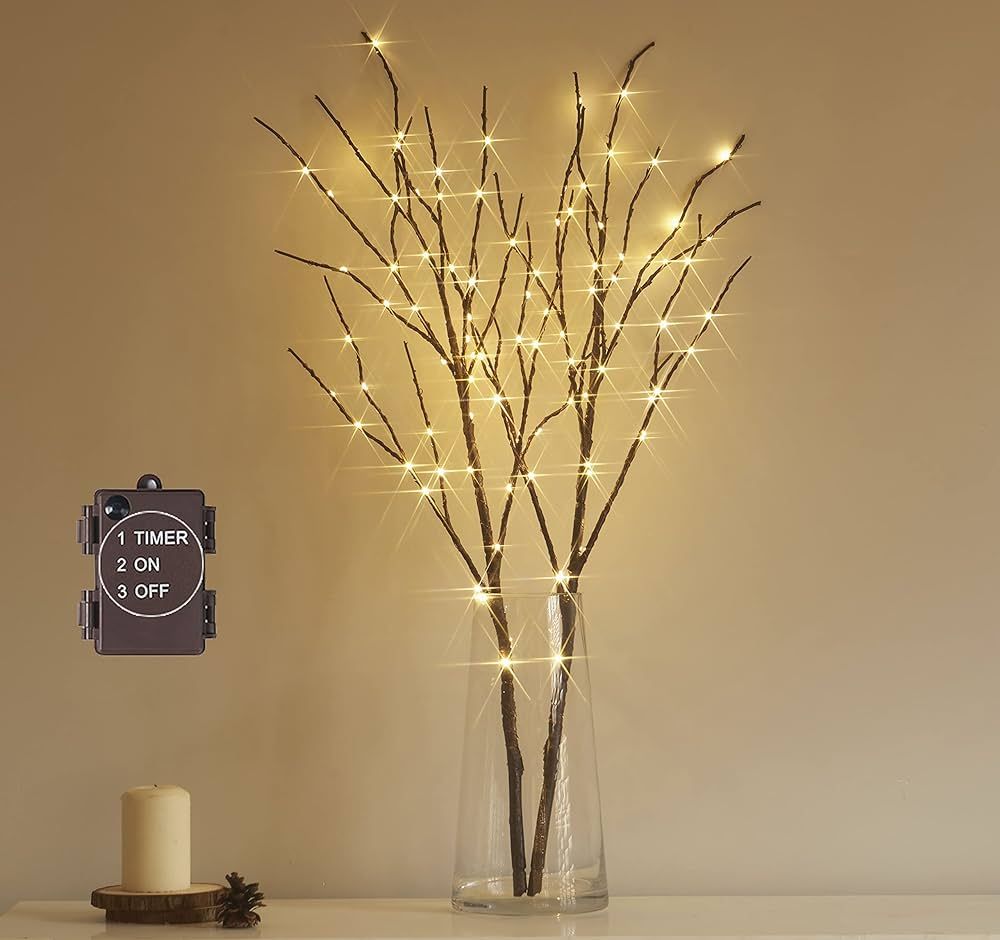 Amazon.com: Hairui Lighted Brown Branches Battery Operated with Timer 30IN 100 LED Fairy Lights, ... | Amazon (US)