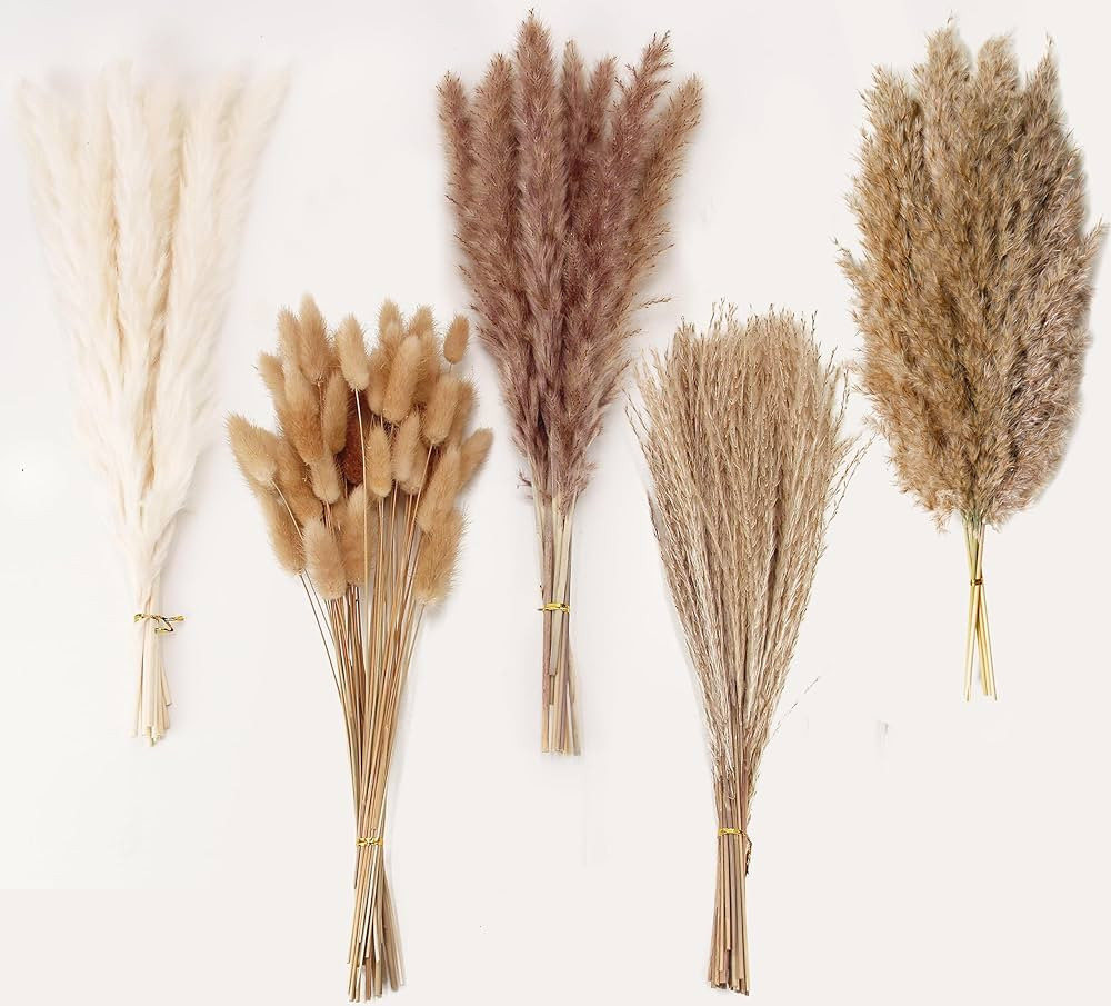 Natural Dried Pampas Grass Decor, 110 PCS Pampas Grass Contains White Bunny Tails Dried Flowers, ... | Amazon (US)