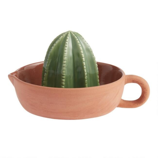 Green and Terracotta Ceramic Cactus Citrus Juicer | World Market