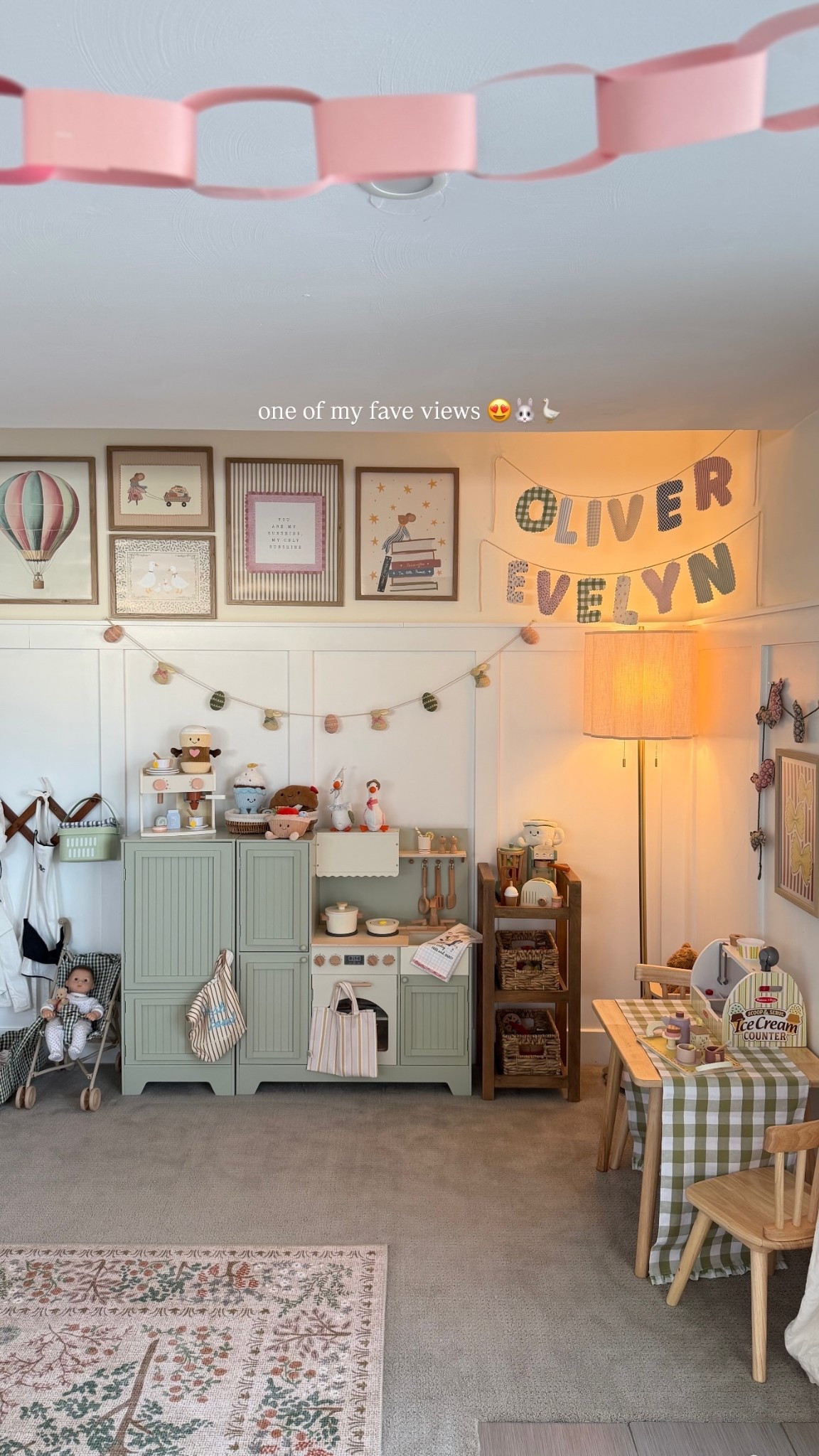 one of my fave views 😍🐰🪿