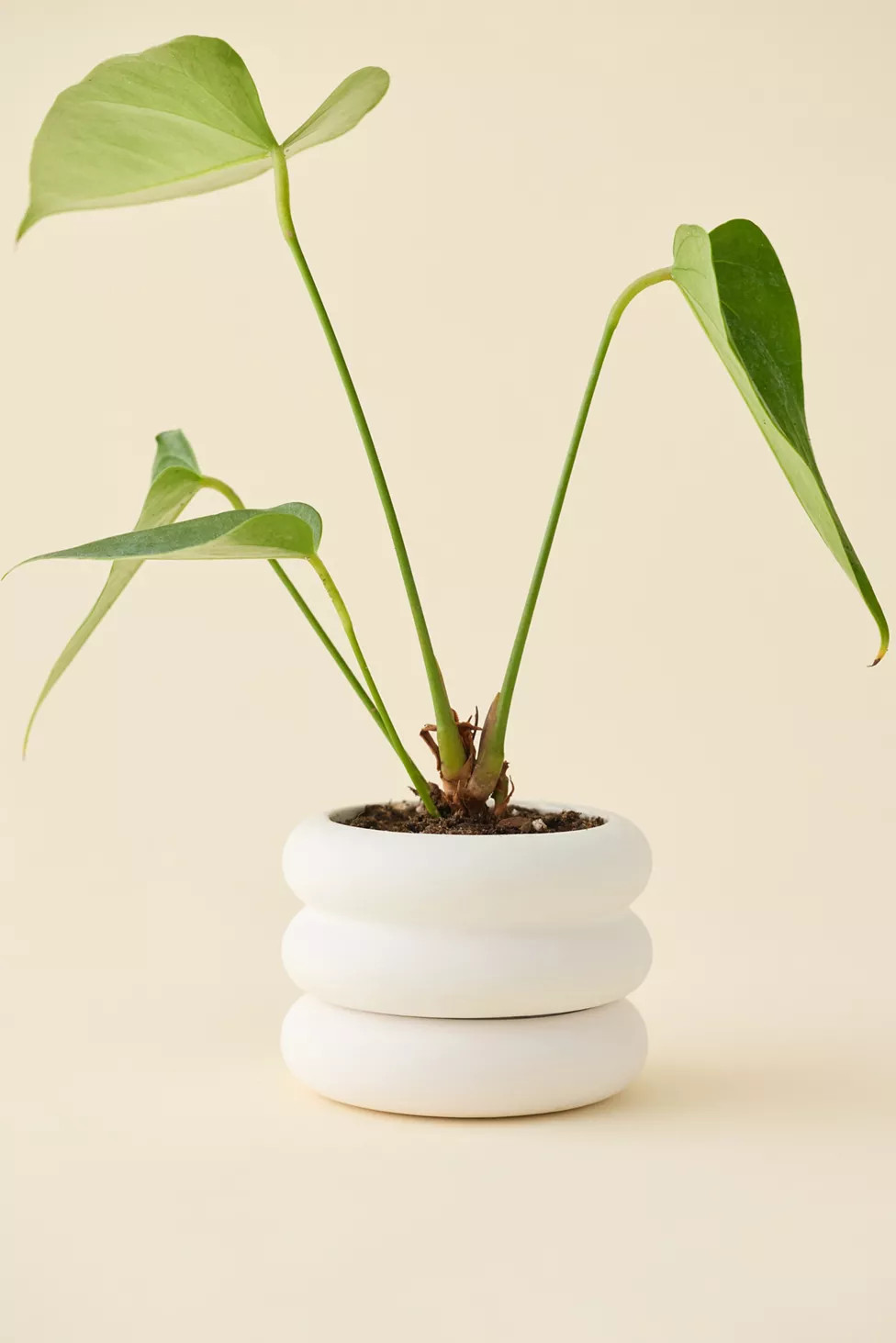Areaware Mini Stacking Planter | Urban Outfitters (US and RoW)