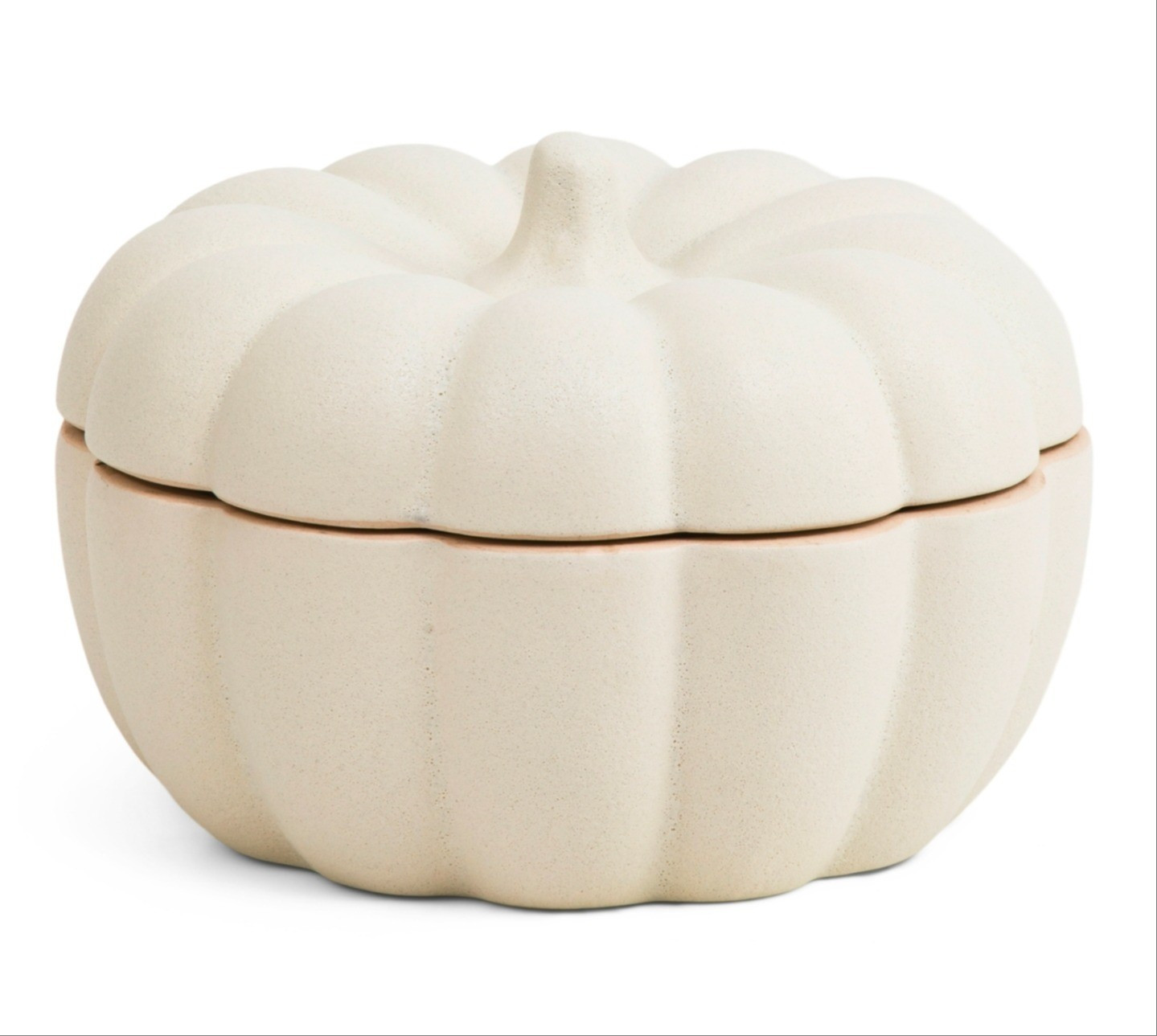 Fall / Halloween Home Decor TJ Maxx

#LTKHome #LTKSeasonal #LTKSaleAlert