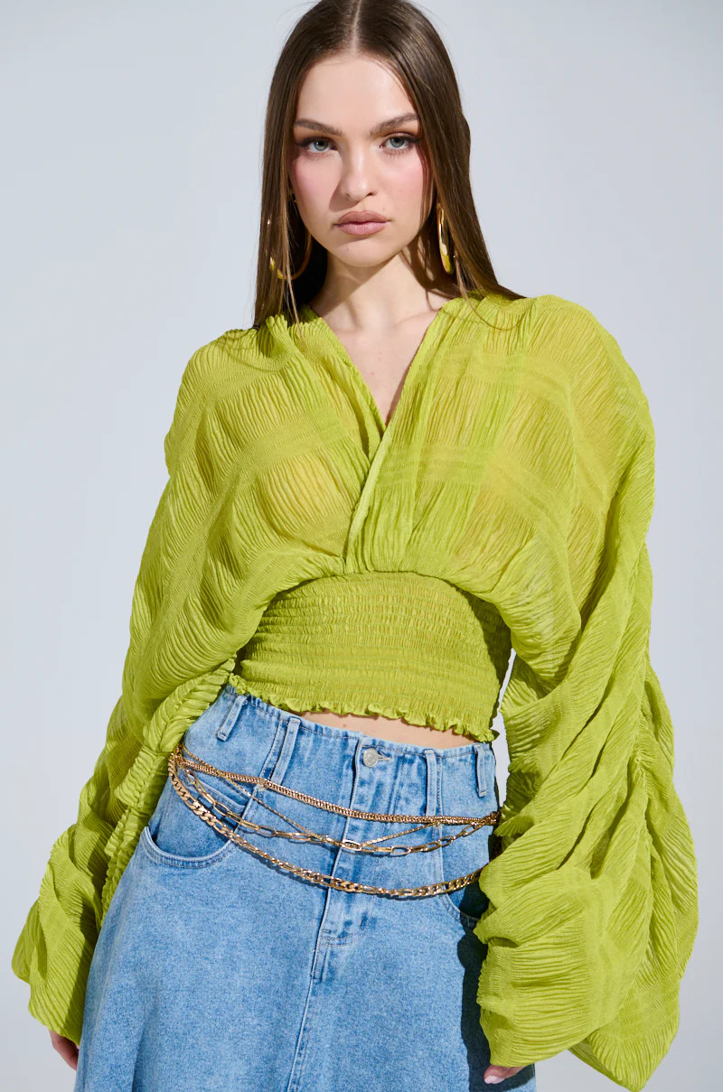 ALL THE BUZZ DEEP V LONG SLEEVE BLOUSE | AKIRA