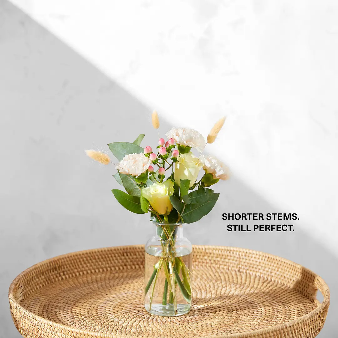 The Nell | Letterbox Flowers | Bloom & Wild | Bloom & Wild UK