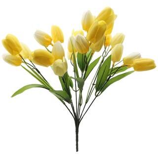 Light Yellow Tulip Bush by Ashland® | Michaels Stores