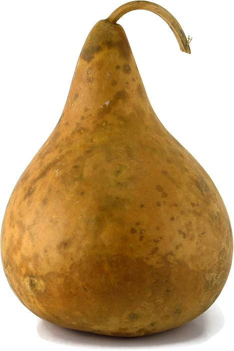 Gourd, Purple Martin, Dried and Ready for Crafting | Amazon (US)
