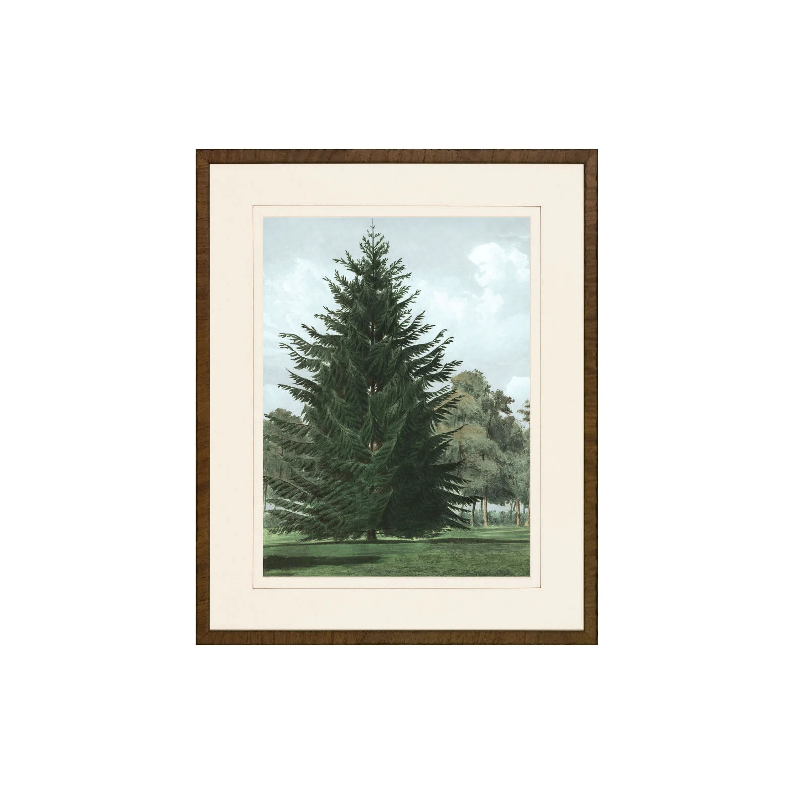 Happy Pine Print IV | Brooke and Lou