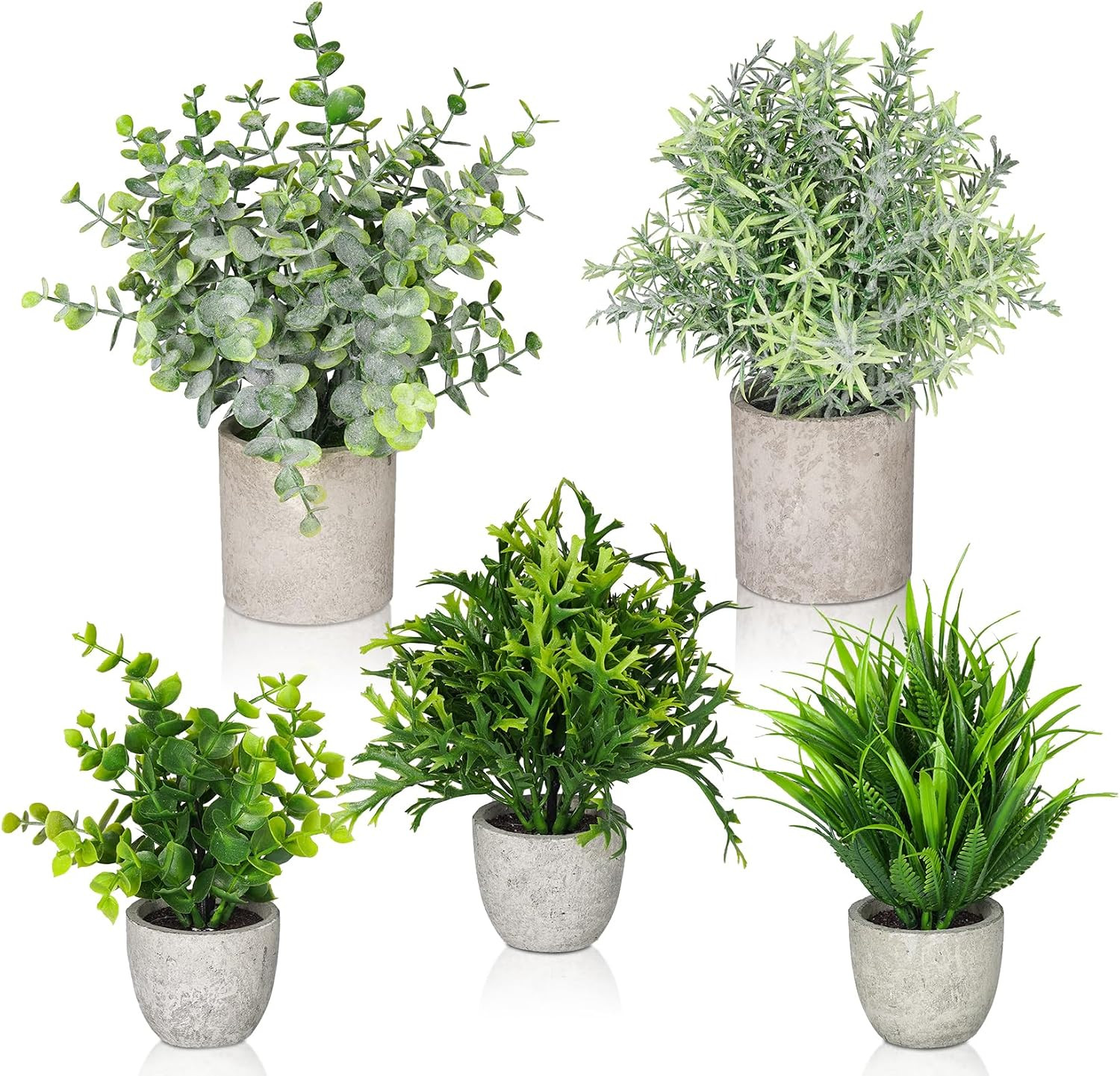 Home & Kitchen›Home Décor Products›Artificial Plants & Flowers›Artificial Plants & Greenery
 | Amazon (US)