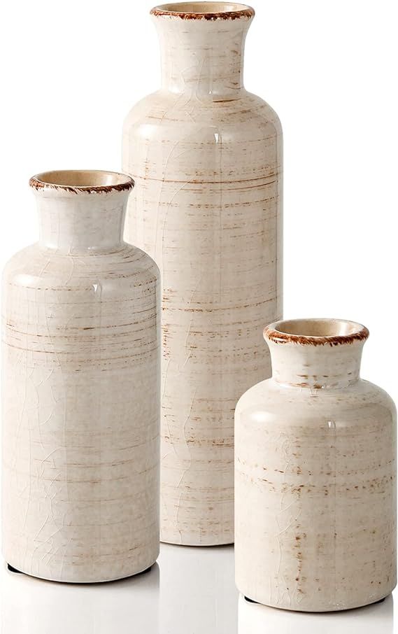 Eyamumo Ceramic Vase for Decor Set of 3 Small Vases, Ceramic Vases for Rustic Home Decor Accent, ... | Amazon (US)