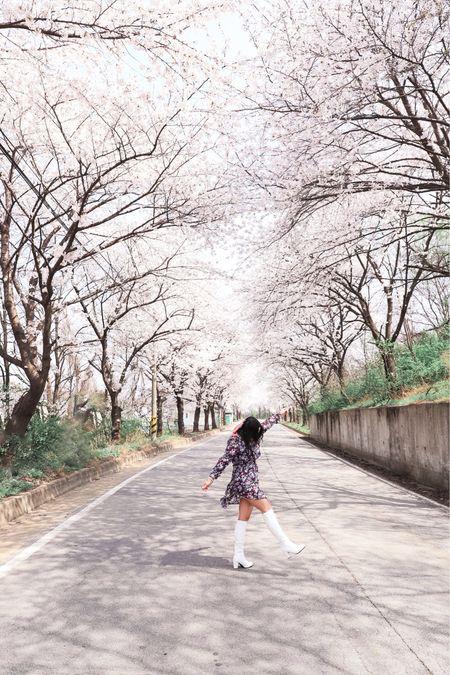 Cherry blossom lane 🌸 

Cherry blossoms were late to bloom this year because of the cold weather. I would drive by these roads every single day to check the status and literally overnight they went from bare branches to this 😍

#LTKAsia #LTKstyletip #LTKtravel