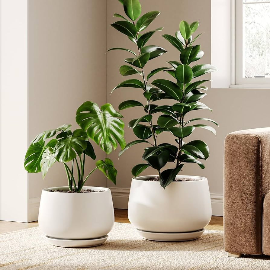 LE TAUCI Ceramic Plant Pots, Set of 2, 10 + 12 Inch Plant Pot, Elegant Planters for Indoor Plants... | Amazon (US)