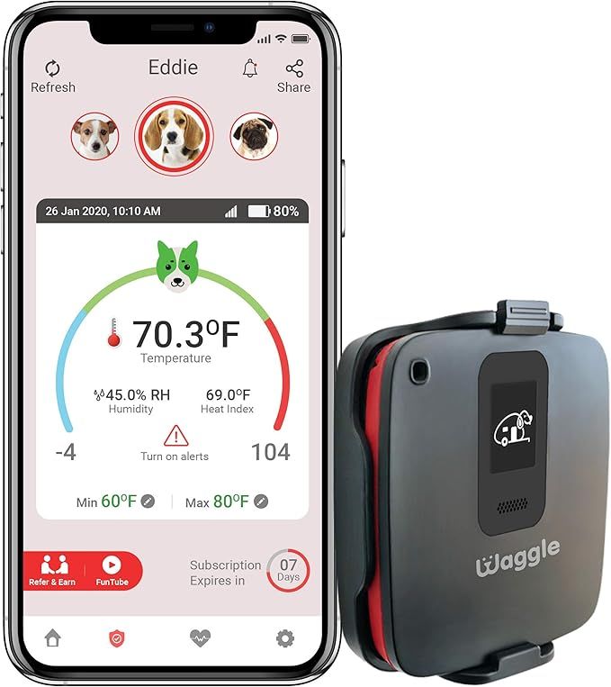 Amazon.com: Waggle RV/Dog Safety Temperature & Humidity Sensor | Verizon Cellular | Wireless Remo... | Amazon (US)