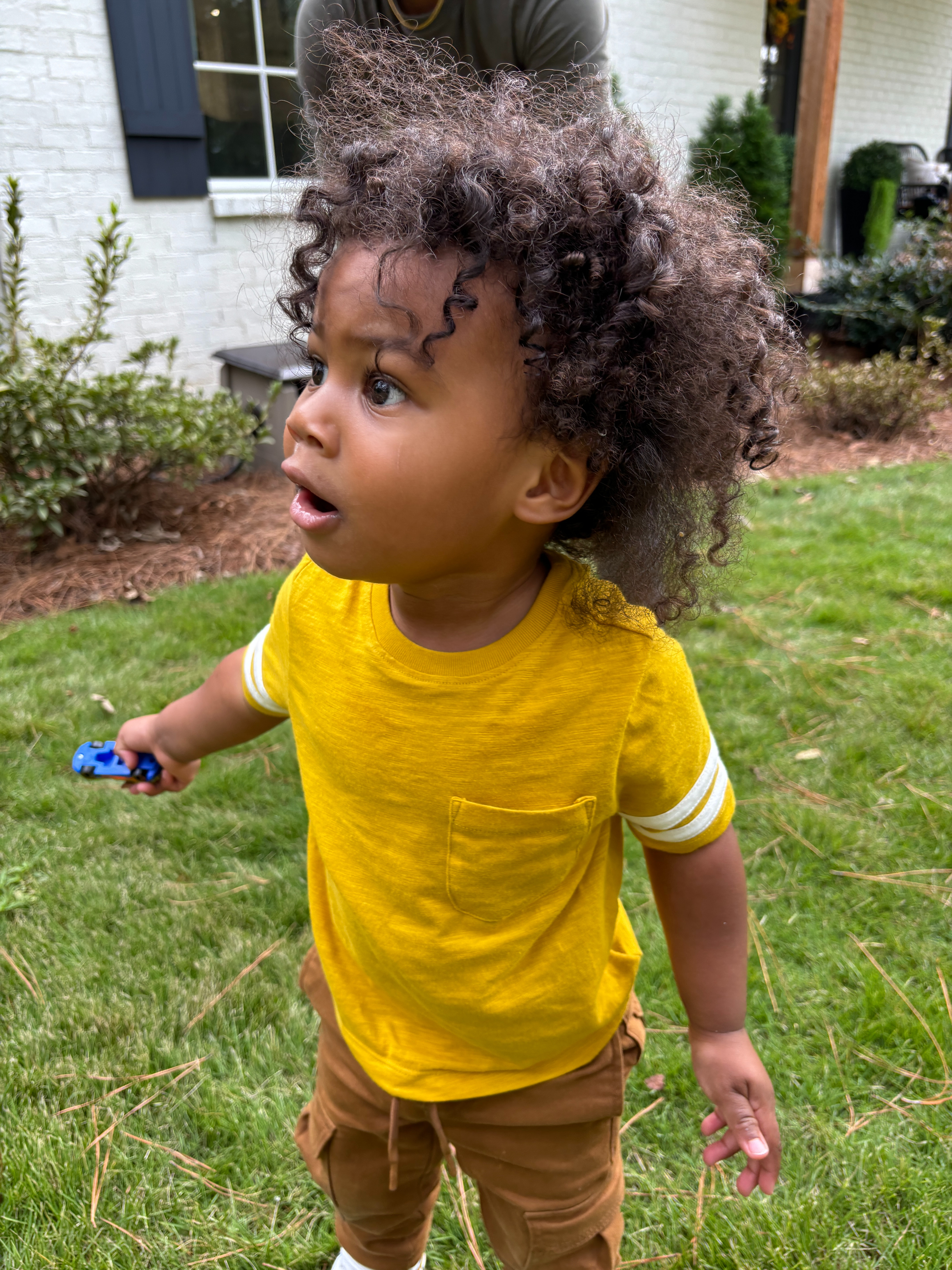 your nephew's curls are popping! I've been using this kids collection from Shea Moisture for quite sometime and am loving the results  

 #LTKFindsUnder50 #LTKBeauty #LTKBaby