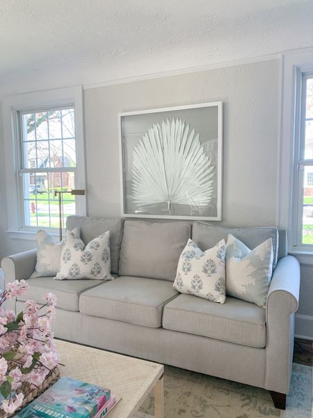 The throw pillows I choose in our coastal living room, coastal artwork 

#LTKhome #LTKfindsunder100