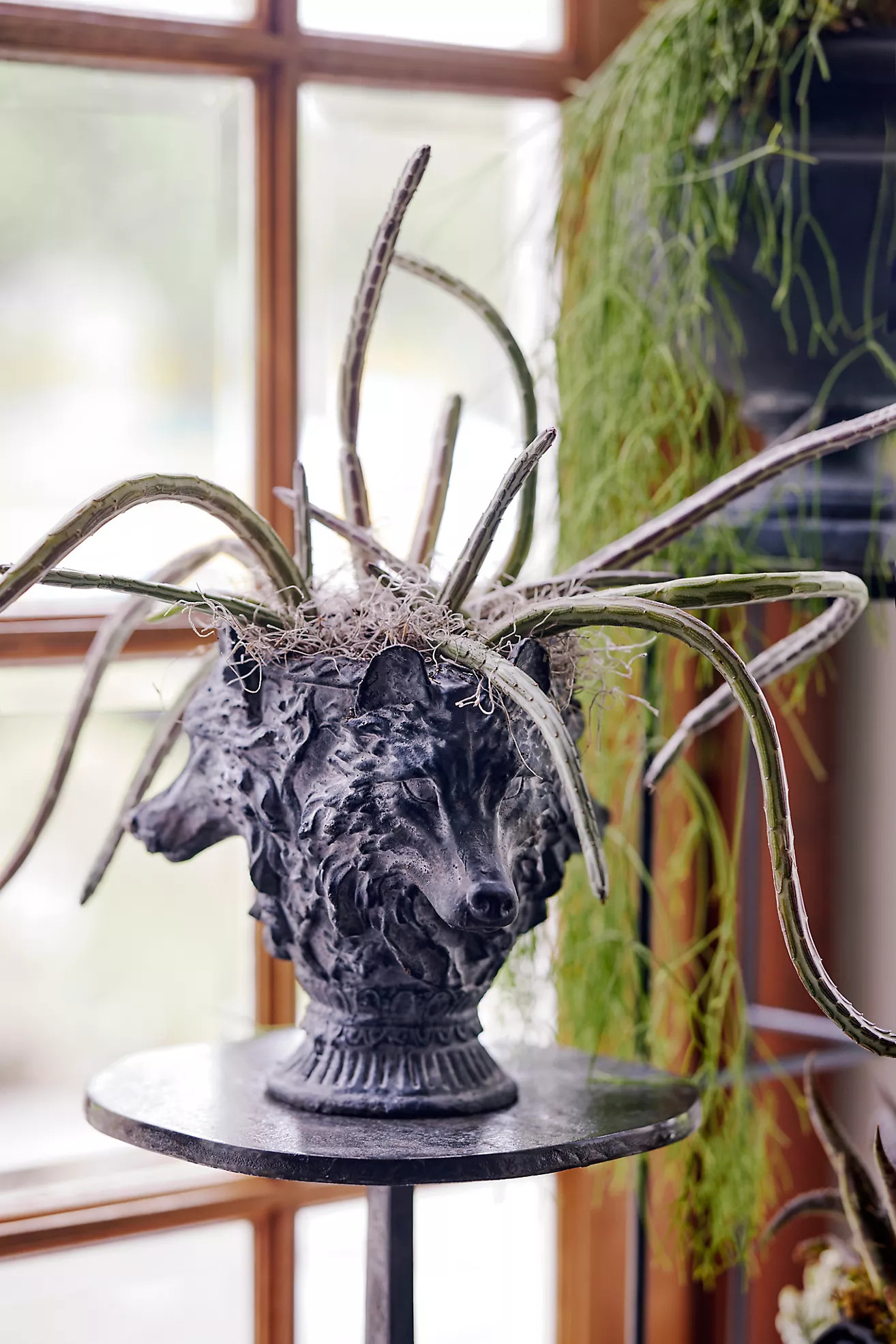 Cast Iron Lupus Urn Planter | Anthropologie (US)