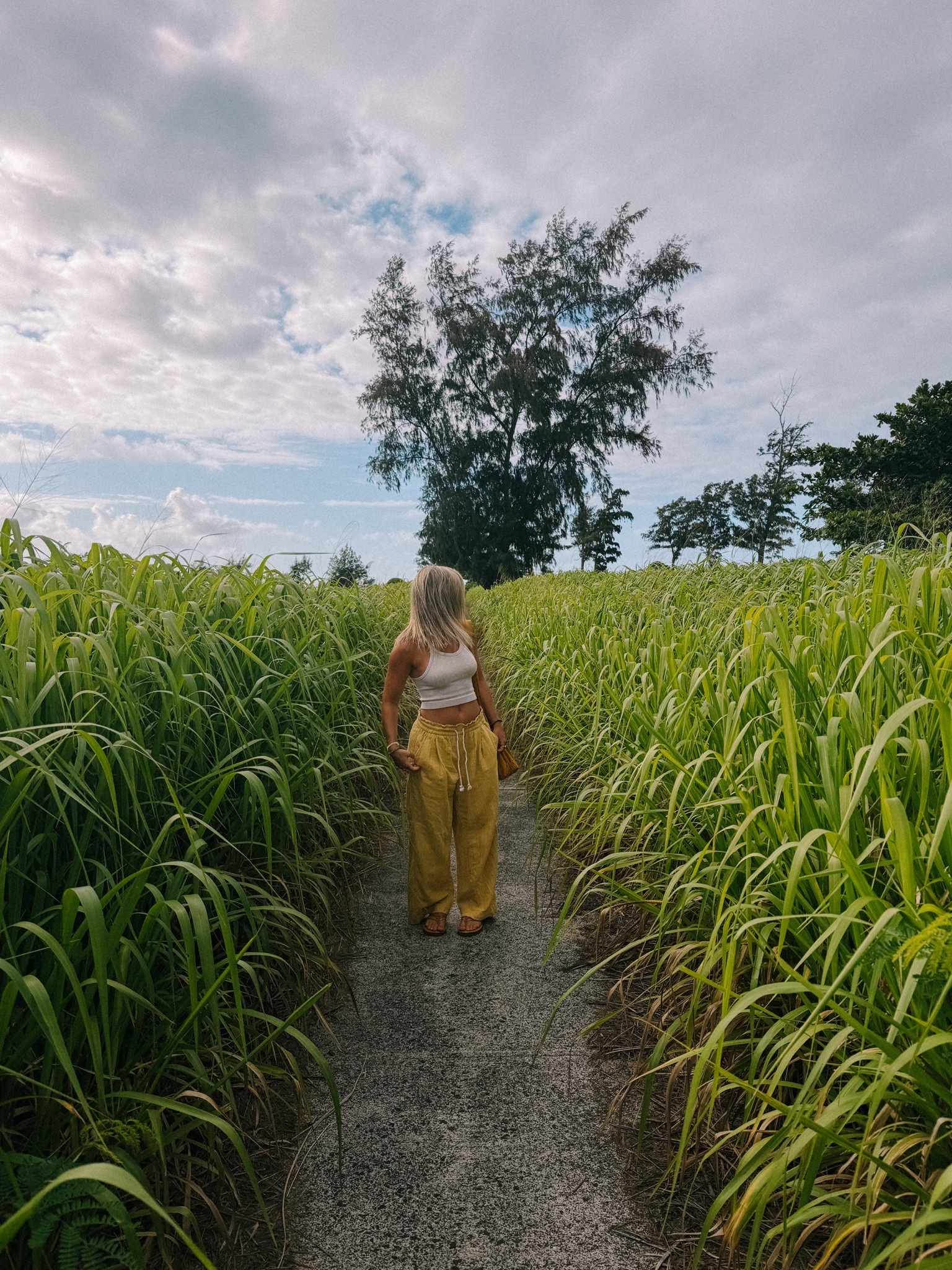Kauai Hawaii Morning Stroll OOTD 🌱 
Top: S 
Bottoms: Small (petite)