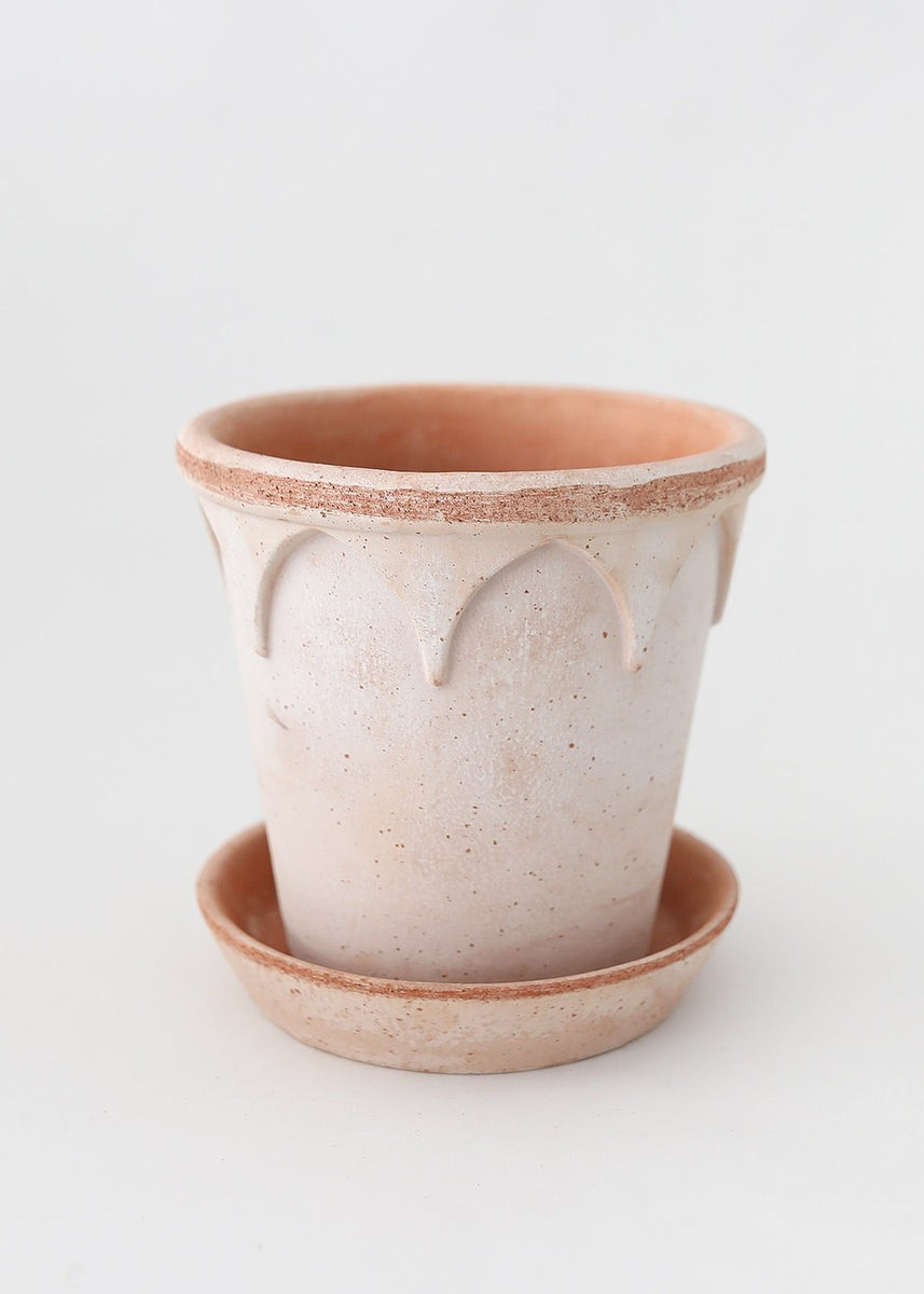 Bergs Elizabeth Terra Cotta Pot with Drainage - 6.5 | Afloral (US)