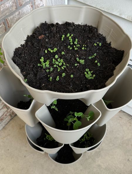Container gardening pot from Greenstalk  