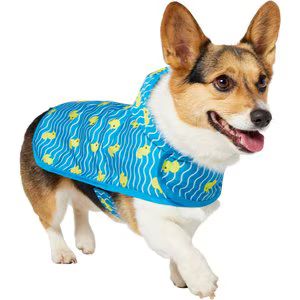 Frisco Rubber Ducky Dog Raincoat | Chewy.com