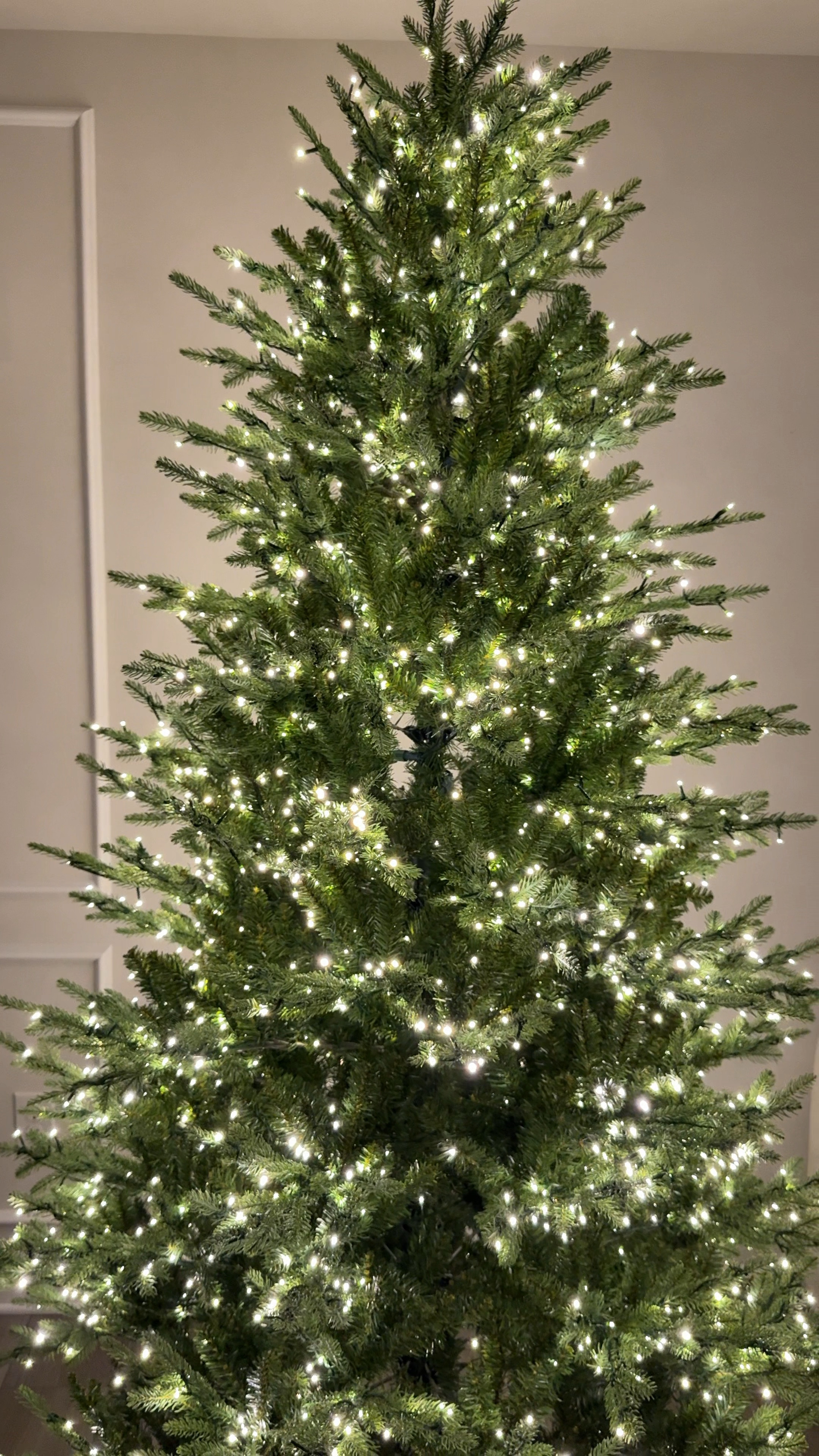 The viral Christmas tree! I’m obsessed, it’s so pretty!! I got the 7.5 foot tree! 

#LTKHoliday #LTKSeasonal