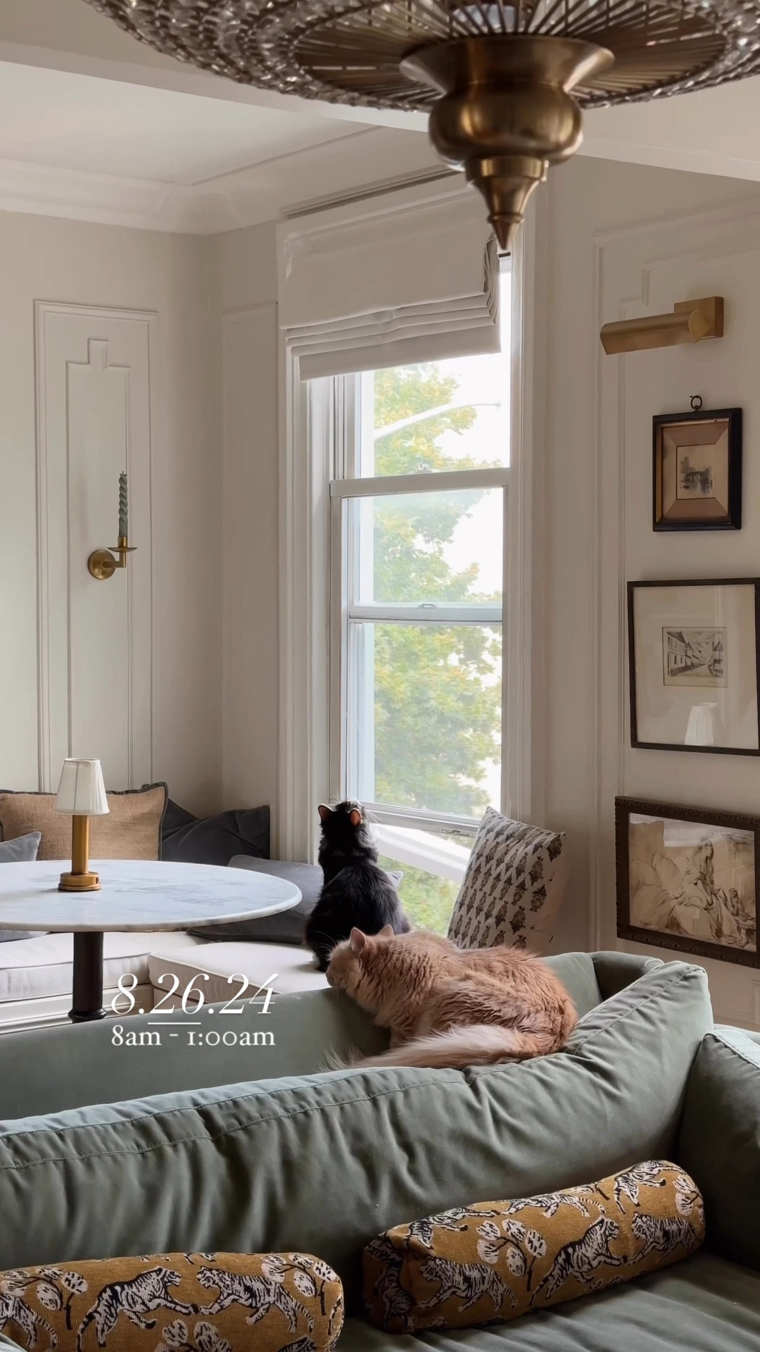 Monday vlog sources 

#LTKVideo #LTKHome