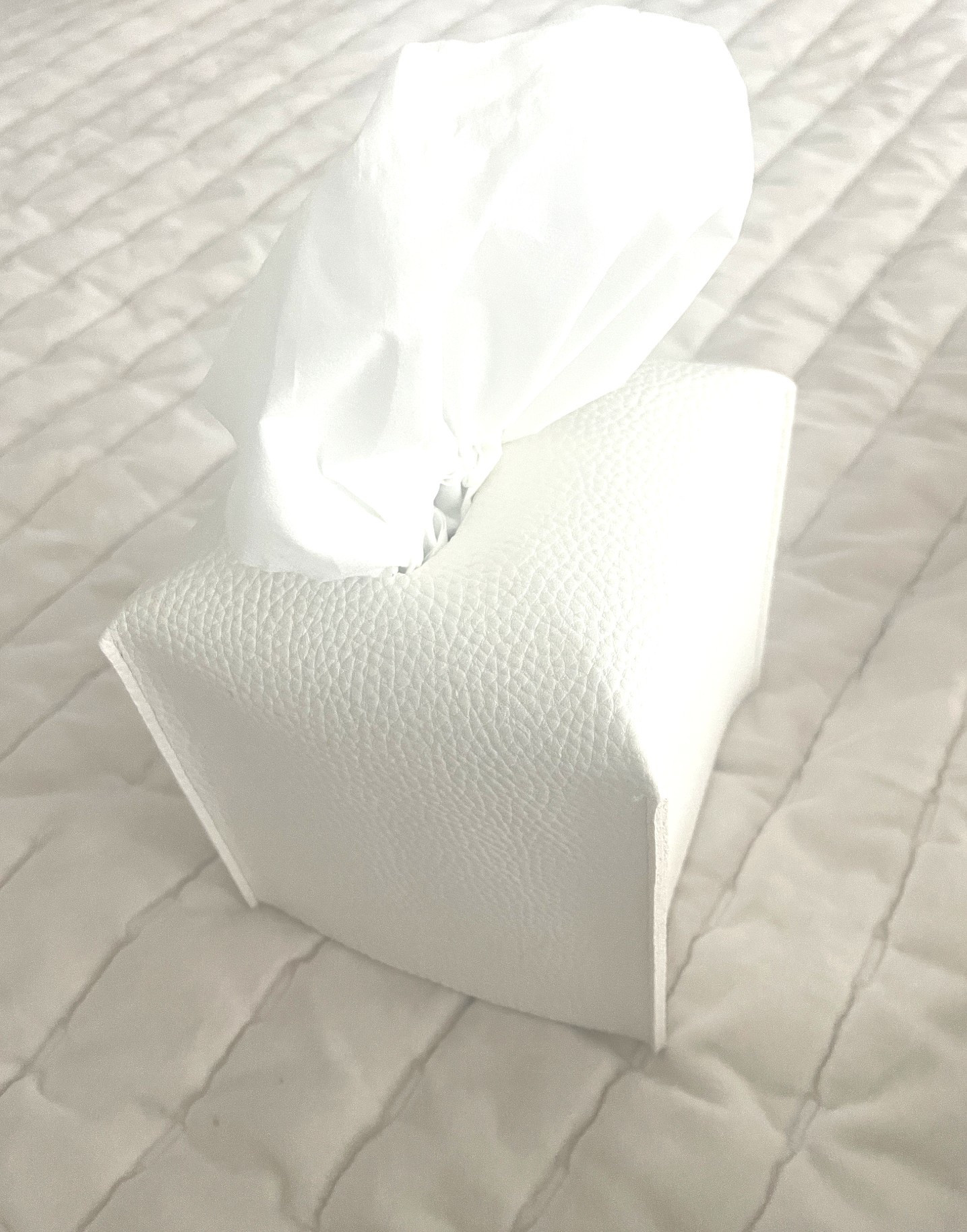 If we’re going to hangout why not look good?

Transform your tissue box with this simple upgrade. Turning everyday essentials into home decor that complements your space.

#LTKHome