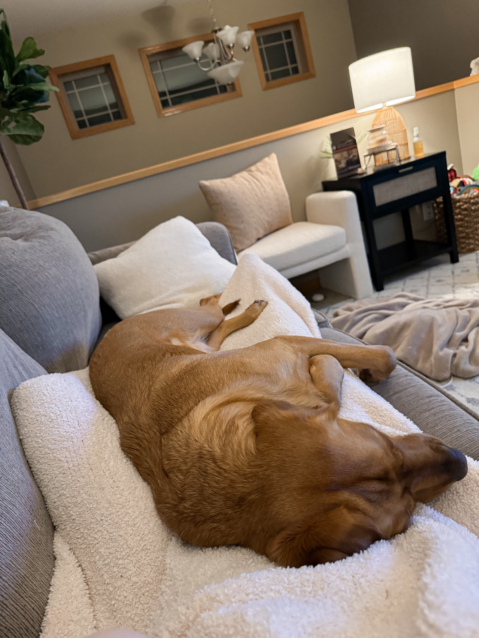 Cozy Sunday night ❤️

#LTKfindsunder100 #LTKhome