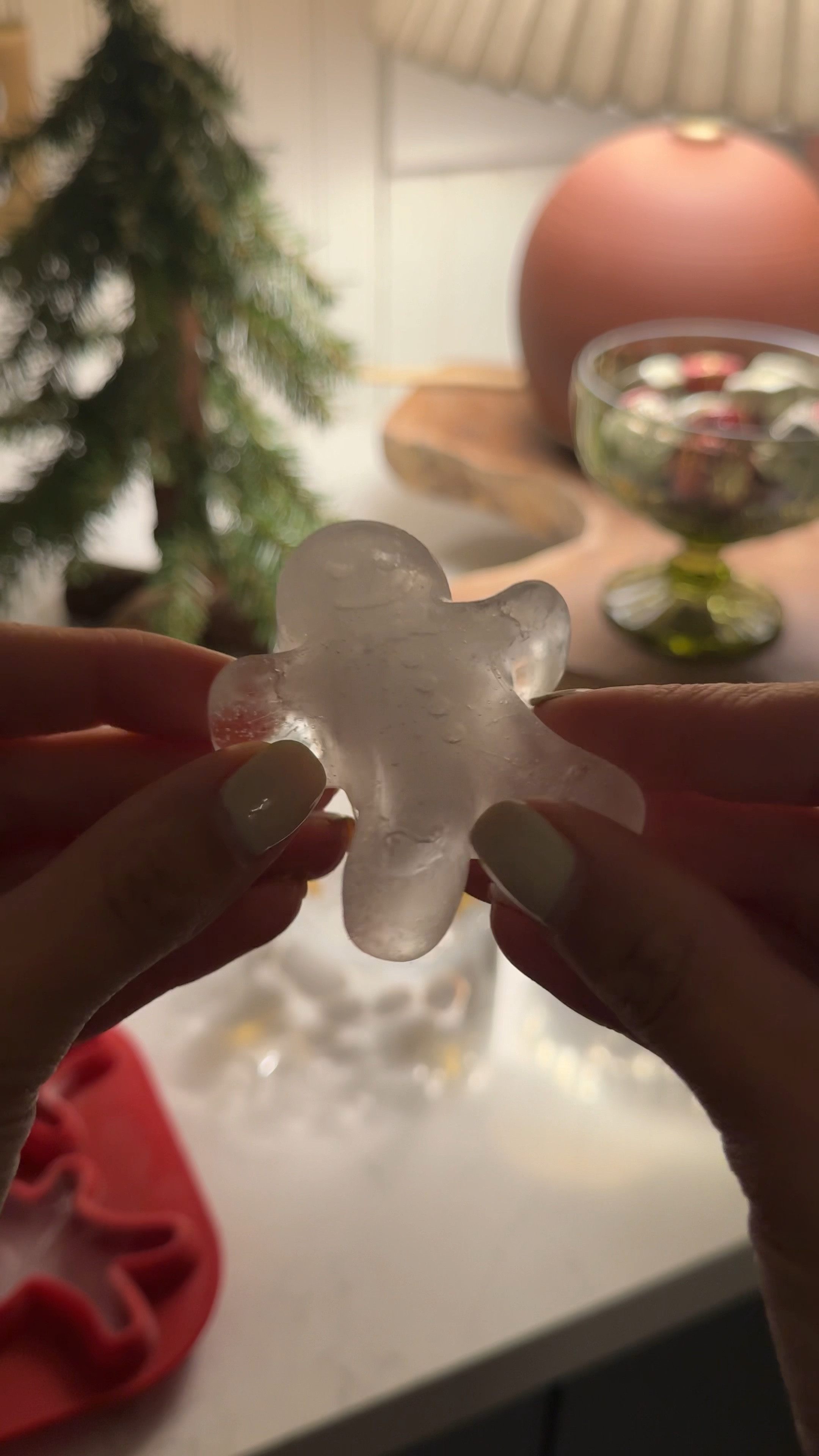 Gingerbread ice cube mold 

#LTKSeasonal #LTKHoliday