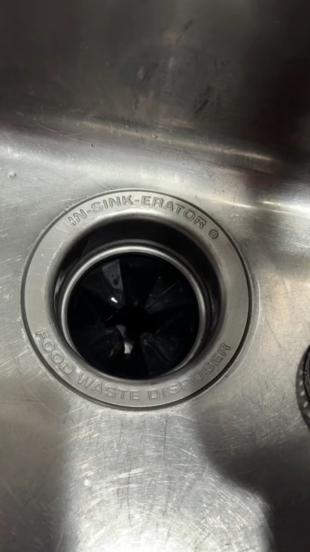 Save the Garbage Disposals!!!! Use this drain stopper that can be both a stopper & a colander for the stuff that garbage disposals don’t like! #savemoney #savetime #bestpurchase

#LTKdayinmylife #LTKHome