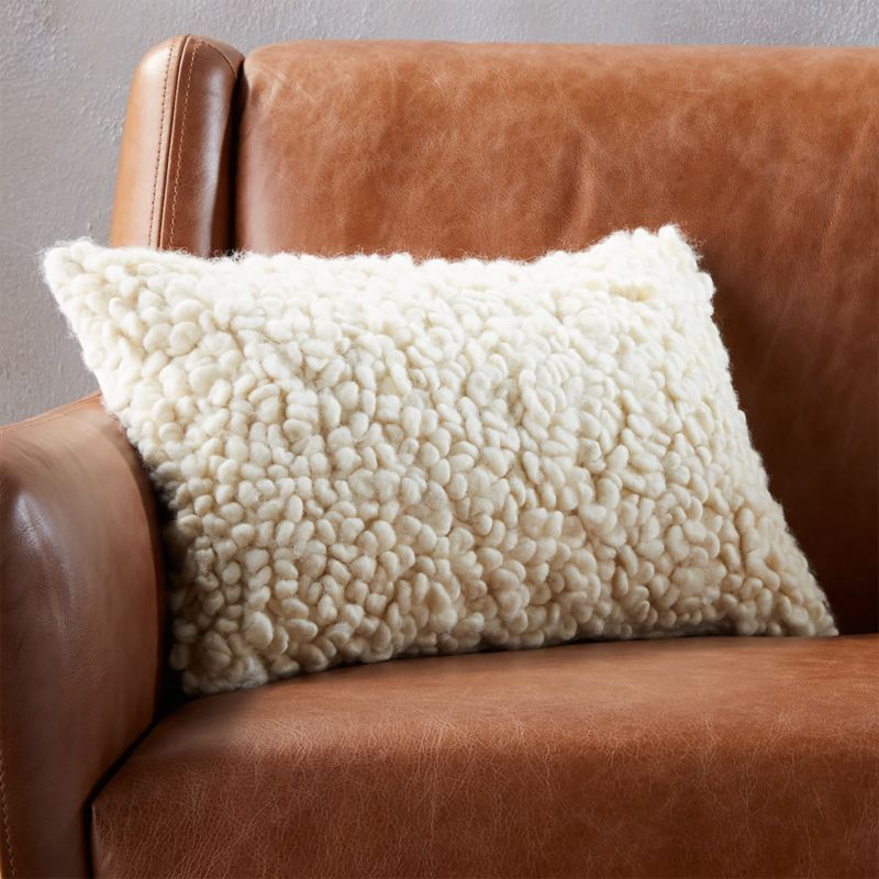 18"x12" Toodle Pillow with Feather-Down Insert + Reviews | CB2 | CB2