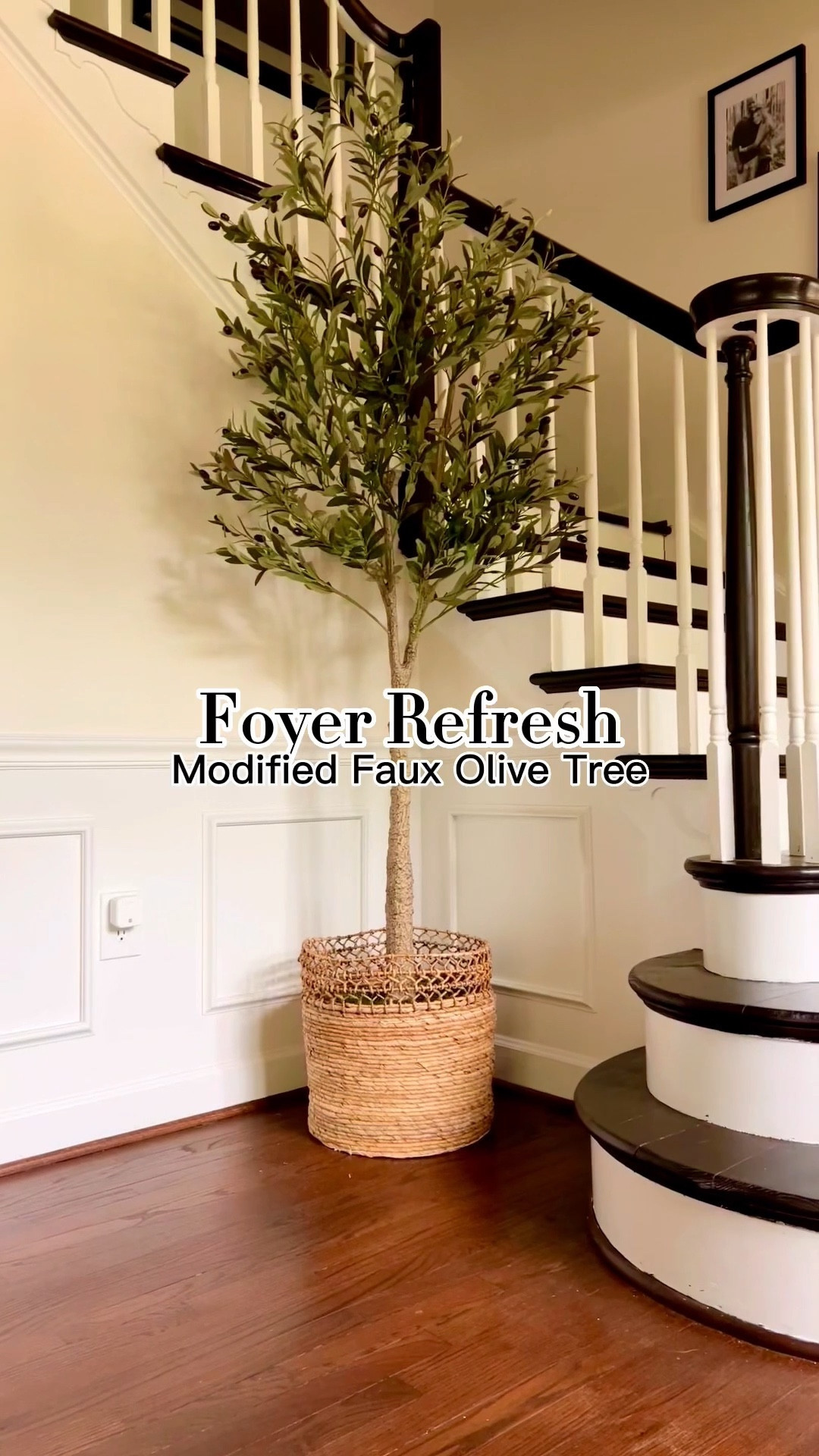 Foyer Refresh!!
Perfect 83” faux olive tree and modified it to have a larger basket and a moss base. This beauty looks so realistic and cost under $125!!
#fauxtree #indoorgreenery #homedecor

#LTKhome