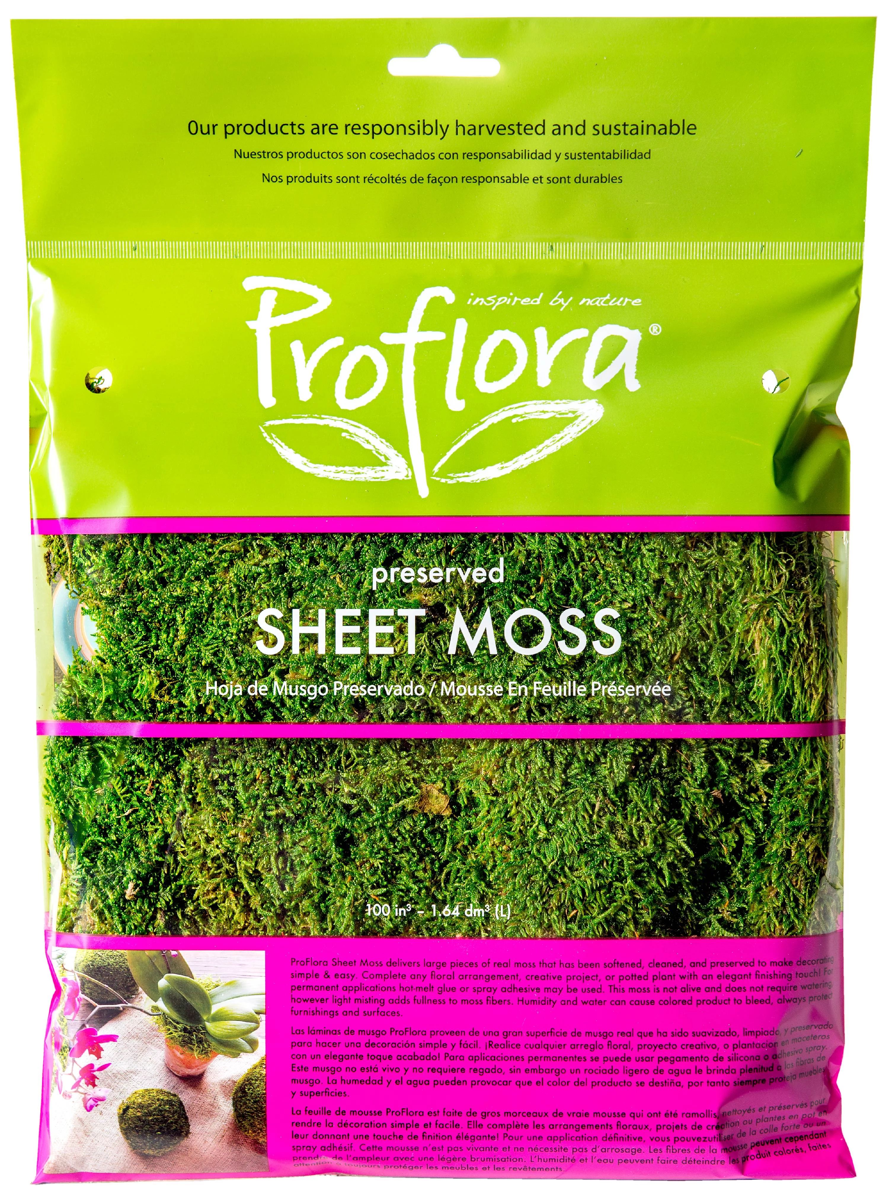 2 Oz. True Green Moss Sheet | Walmart (US)