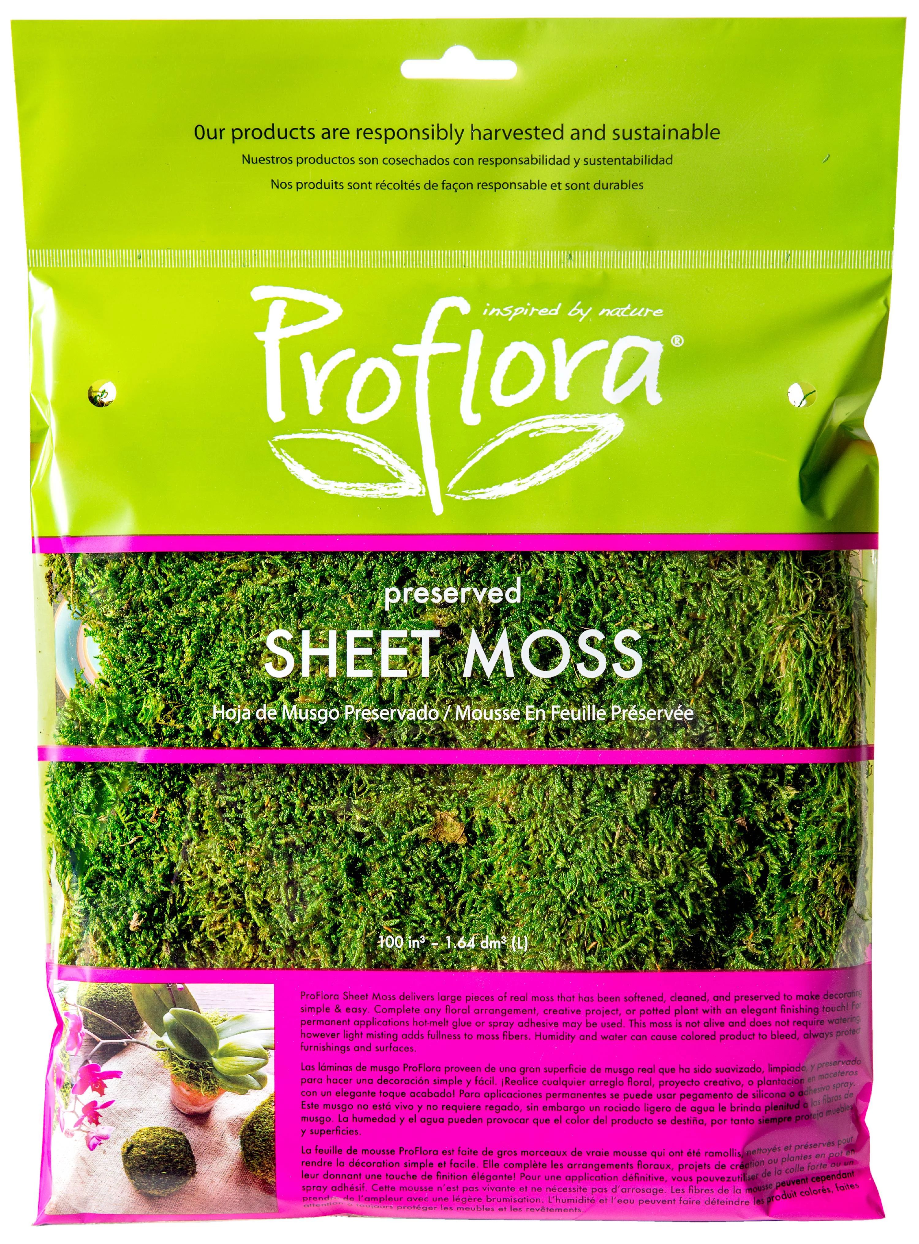 2 Oz. True Green Moss Sheet - Walmart.com | Walmart (US)