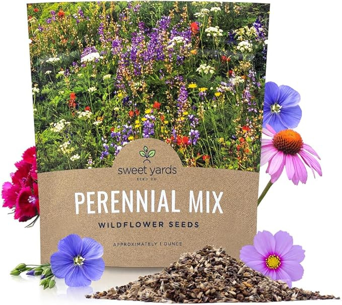 Perennial Wildflower Seeds Mixture - Bulk 1 Ounce Packet - Over 15,000 Pure Live Seed - Open Poll... | Amazon (US)