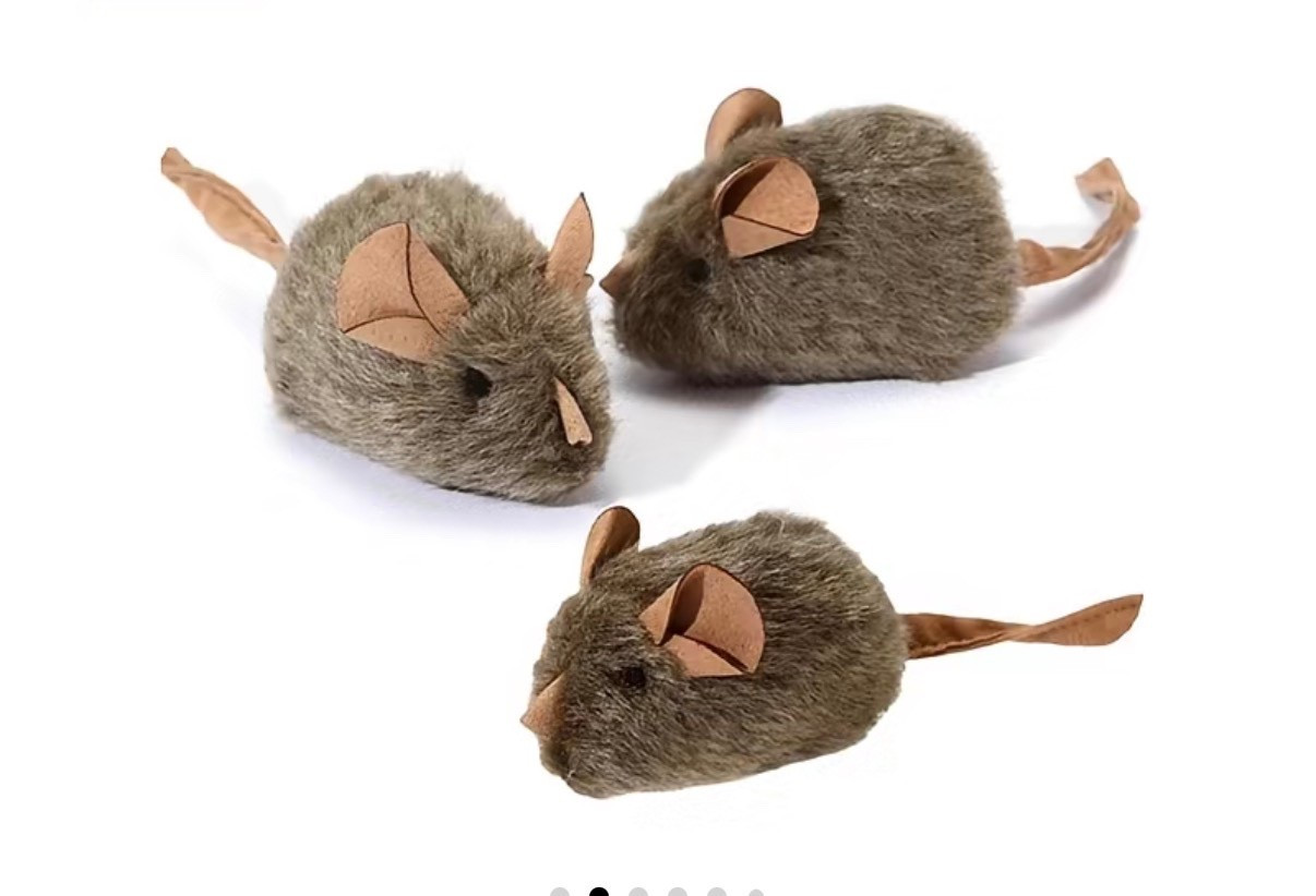 #cats #cattoys #mousetoy #pets #interactivemousetoys