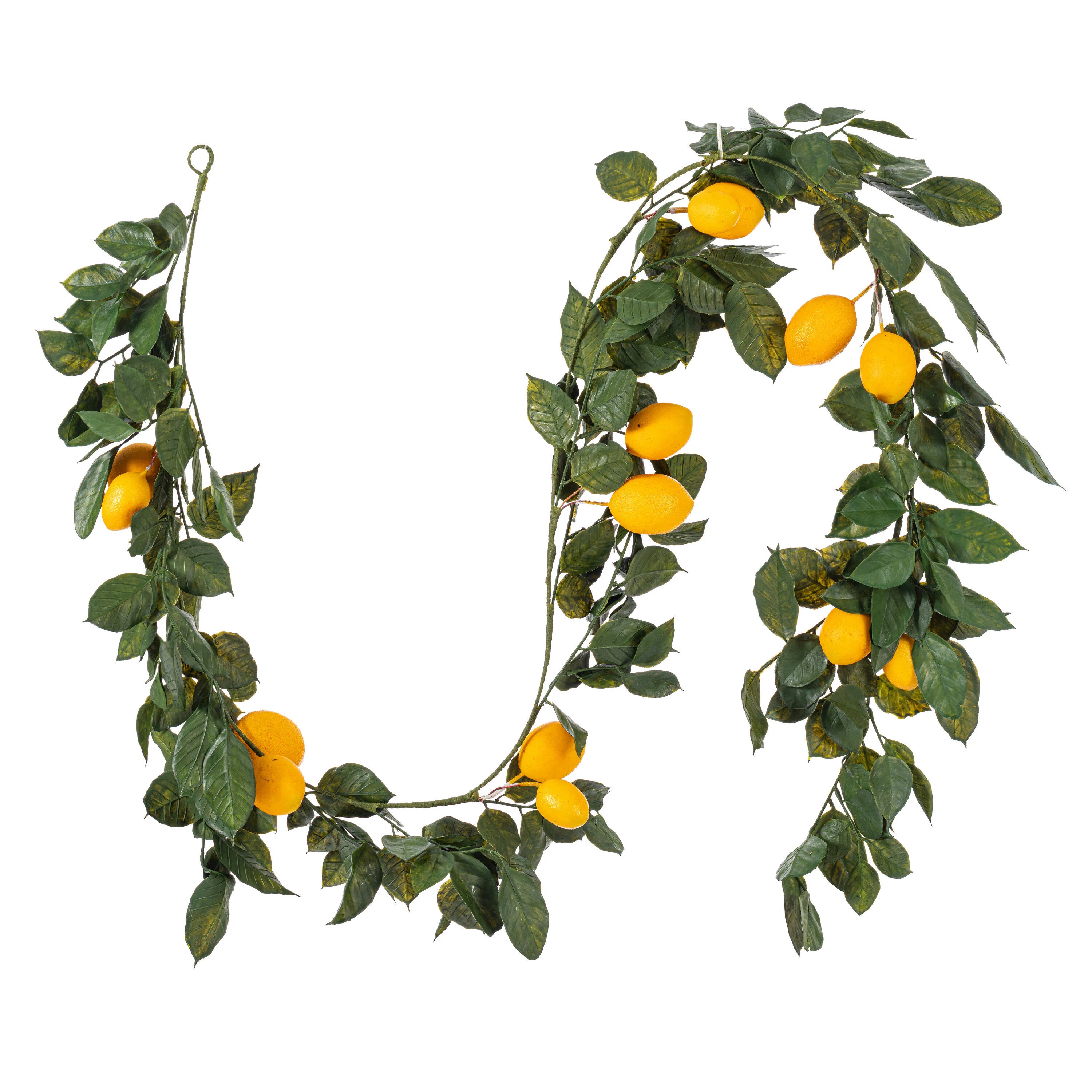 August Grove® 6' Artificial Green and Yellow Salal Leaf Lemon Garland & Reviews | Wayfair | Wayfair North America