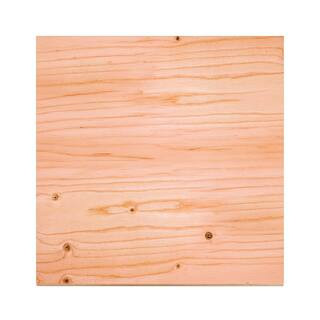 15/32 in. x 2 ft. x 2 ft. Sanded Plywood Project Panel | The Home Depot
