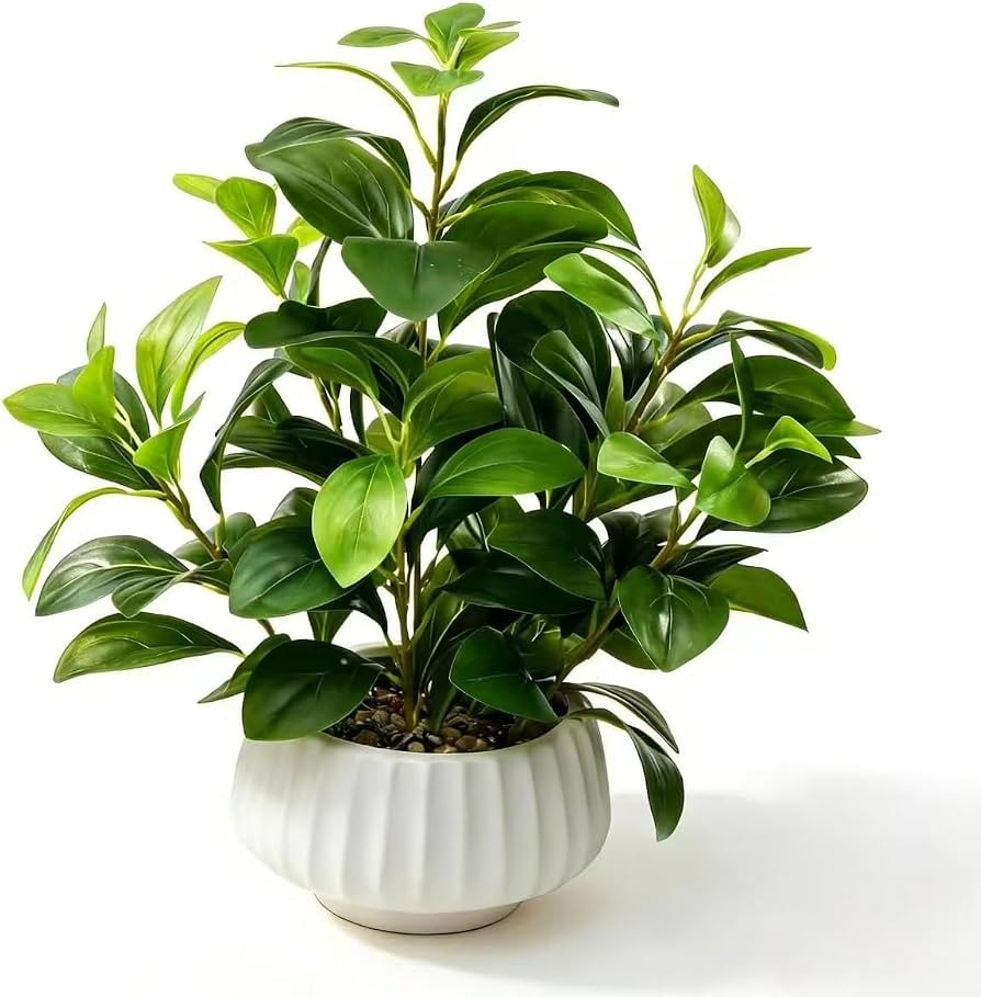Artificial Peperomia Plants 16\u201d Tall Lifelike Faux Greenery in 6\u201d White Ribbed Ceramic ... | Amazon (US)