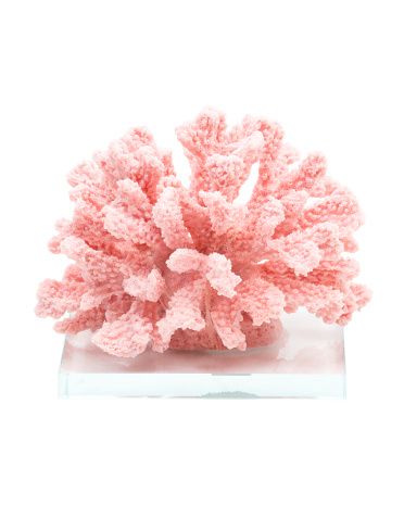 Cluster Coral On Glass Base | TJ Maxx