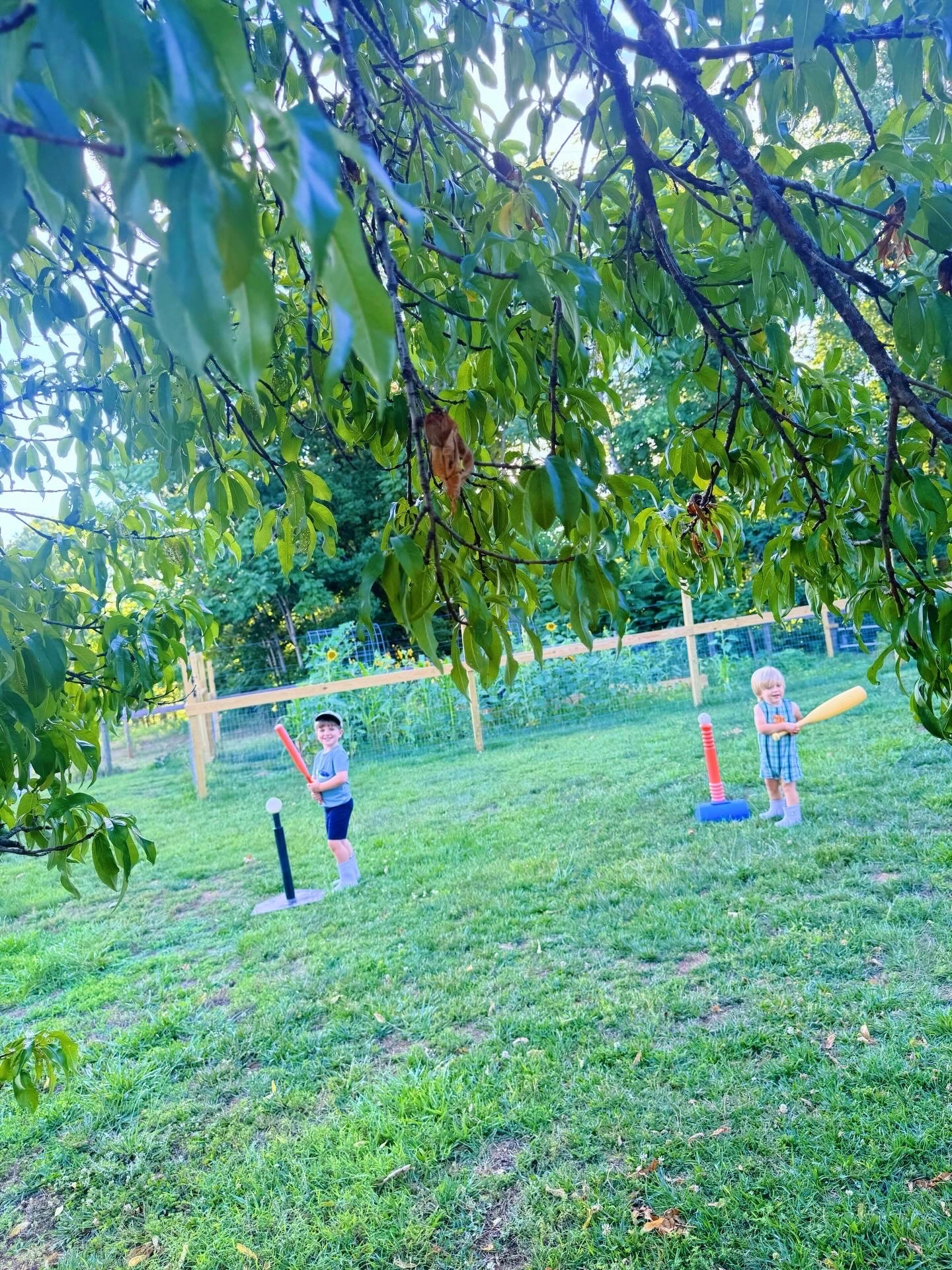 l i f e  l a t e l y 🌻🇺🇸🌳 - brother lovin’ 👶🏼🩵 and baseball ⚾️ by the garden 🪴, frolicking through the sunflower 🌼 blooms 🌾, morning walks 🌿 down to the creek 💦, homeschool preschool 🍎 learning 📚, lawnmower riding with “Dada” 🚜, swinging 🪵 over the pastures 🌱 out by the barn🐴, slow mornings ☕️ out on the porch swing 🤍, swim lessons 💧 with the wonderful Ms. Jenny 🥰, a visit and playdate with friends 🫶🏽, and soaking in every bit of our very first summer 🌞 out here on the farm and our hearts are so full!! 🦌💭💛 #lifelately #farmhouseliving #lifeonthefarm #cameraroll #sahmlife