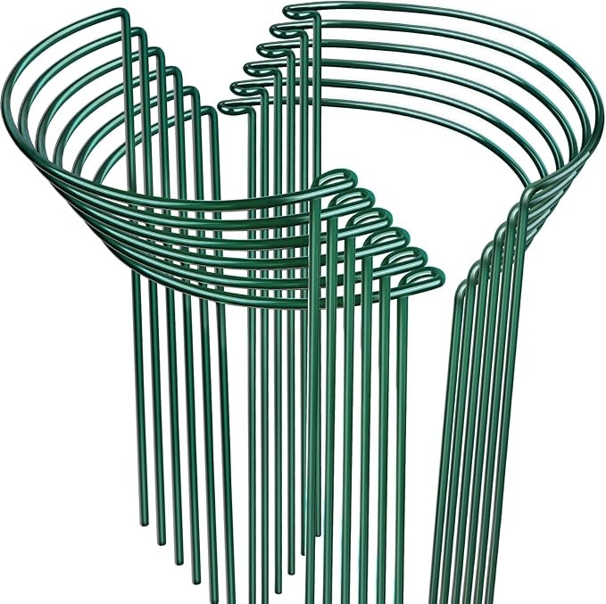 LEOBRO Plant Support Plant Stakes, 12pcs Peony Cages and Supports, Metal Garden Stakes Plant Supp... | Amazon (US)