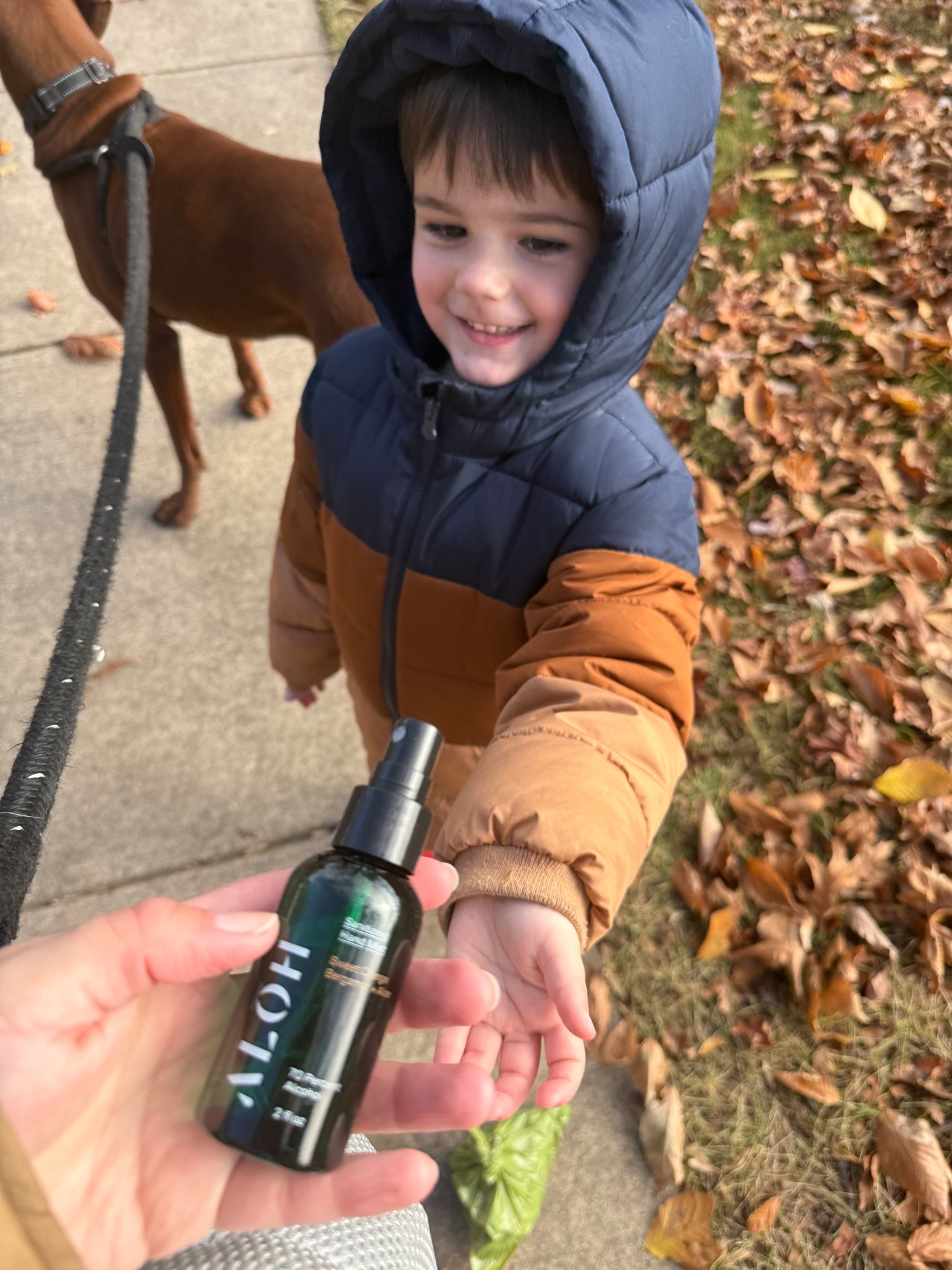 We’re keeping the inside and outside germs at bay this fall with ALŌH’s new Sweet Orange Bergamot scented hand sanitizer. 

From walking the dog, to playdates I keep ALŌH sanitizing wipes and spray with me - keeping my hands clean, refreshed, and soft with their hydrating wipes made with pure essential oils. 

This Sweet Orange scent is perfect for fall — you forget you’re even sanitizing because it smells that good. 

Whether you love sanitizing wipes, spray, or gel ALŌH has you covered ✨



Mom hacks, travel finds, toddler mom life, what’s in my bag, pet finds, clean finds, hand sanitizer 



#LTKdayinmylife #LTKFamily #LTKTravel