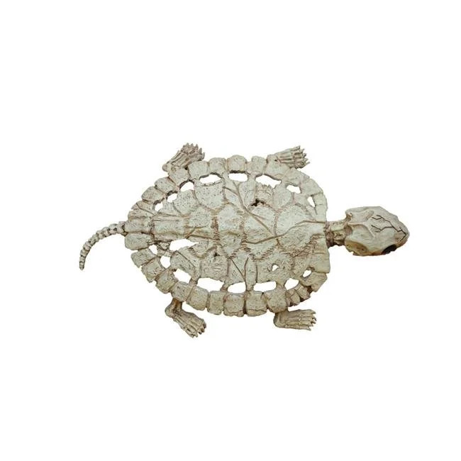 Skeleton Turtle Halloween Decoration | Walmart (US)