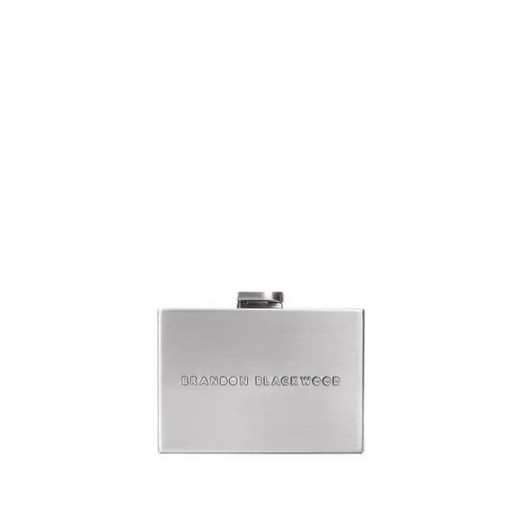 Brandon Blackwood Mini Metal Minaudière- Stainless Steel | Poshmark