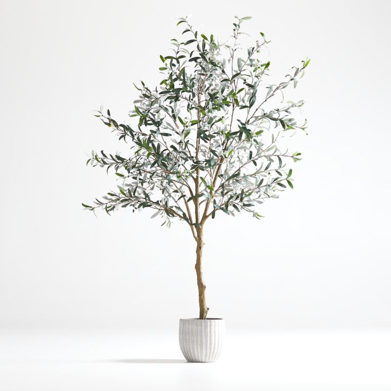 Faux Olive Tree in Pot 7' + Reviews | Crate & Barrel | Crate & Barrel