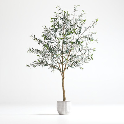 Faux Olive Tree in Pot 7' + Reviews | Crate & Barrel